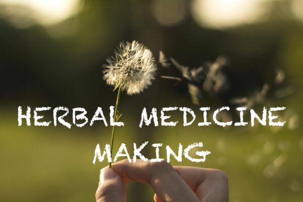 my herbal medicine making course image