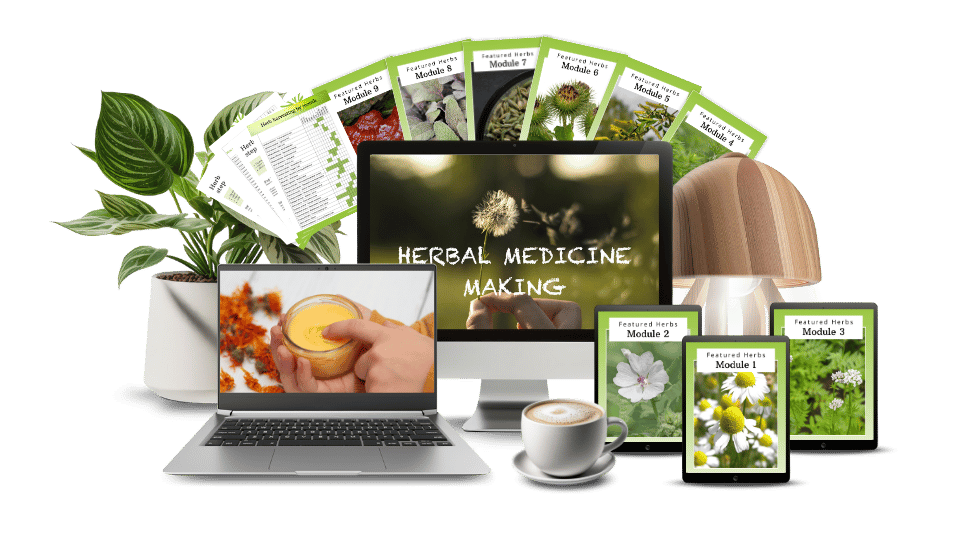 making herbal medicine image<br />
